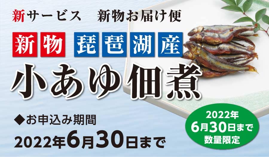 第1位獲得！】 ポイント5倍中 中元 ギフト 佃煮 4個入 小あゆ煮 うなぎ山椒煮 あゆの店きむら 4C 滋賀県ご当地モール